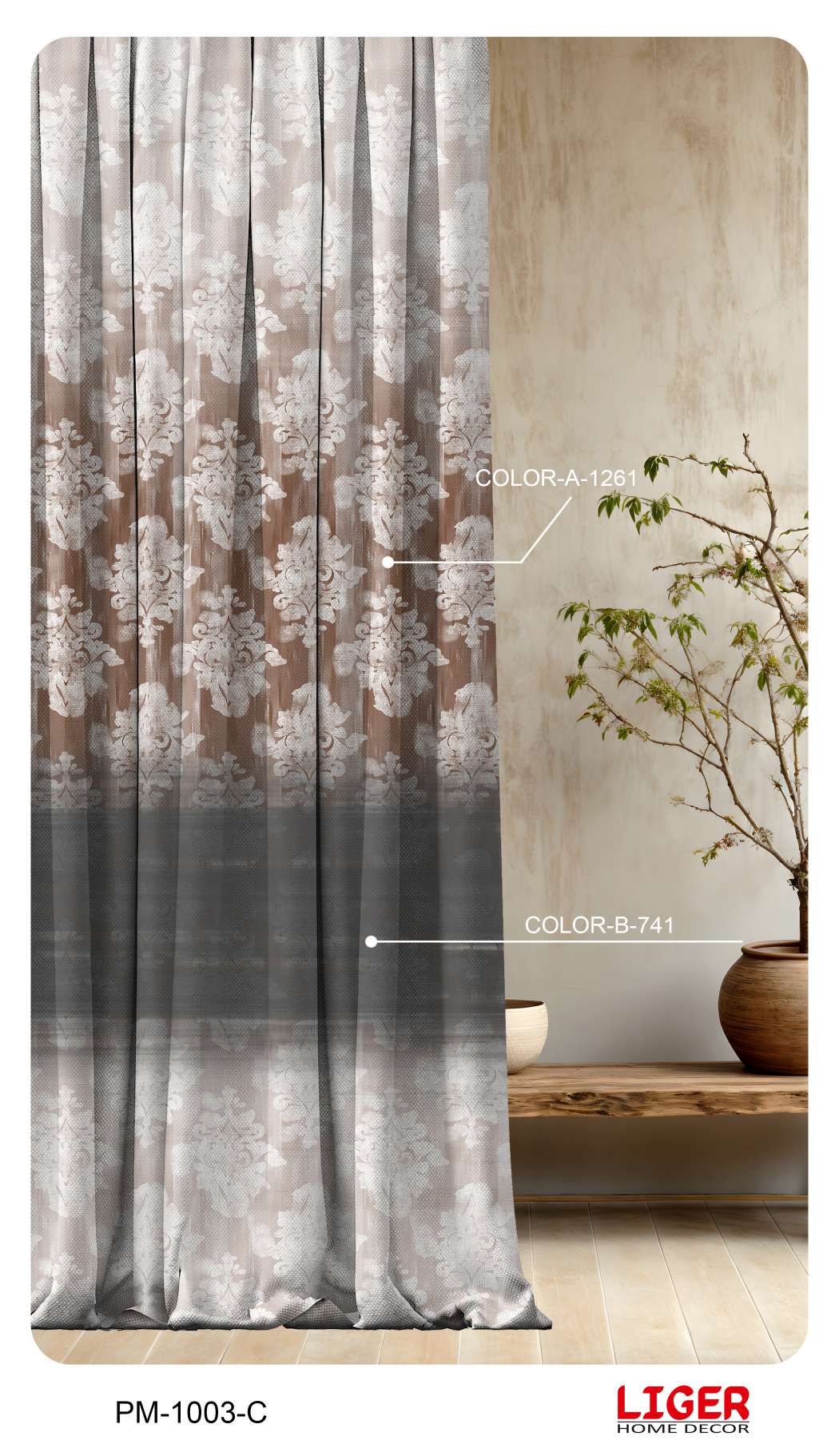 Collection 1 - Image