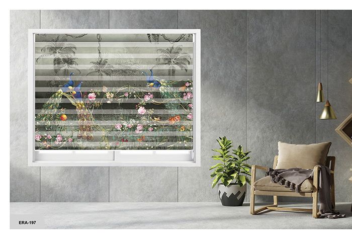 Collection 2 - Image