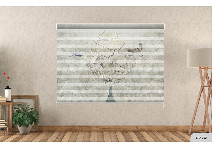 Collection 6 - Image