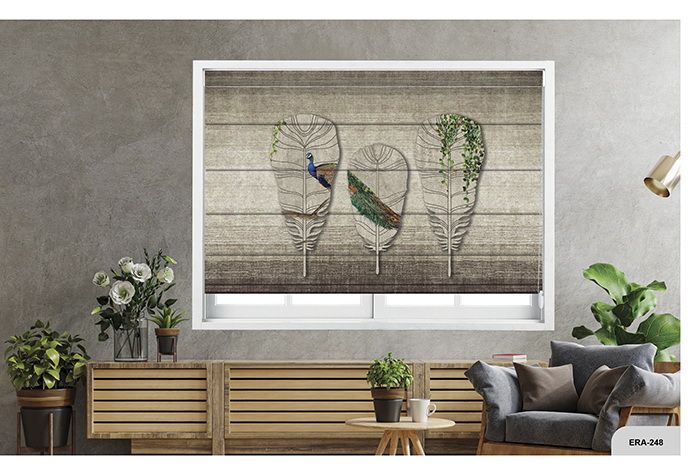 Collection 3 - Image