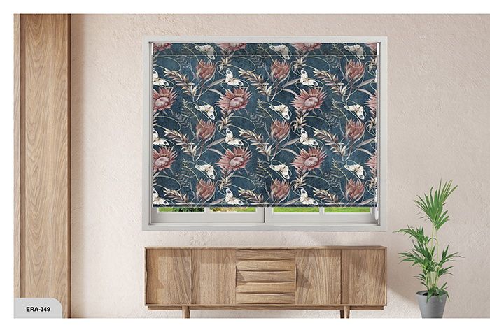 Collection 5 - Image