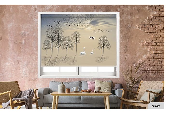 Collection 8 - Image