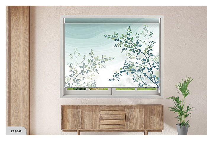 Collection 4 - Image