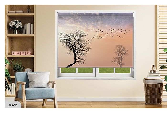 Collection 8 - Image