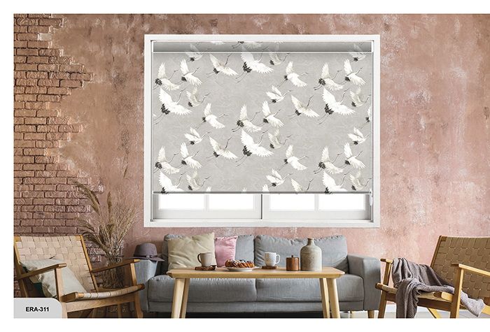 Collection 4 - Image