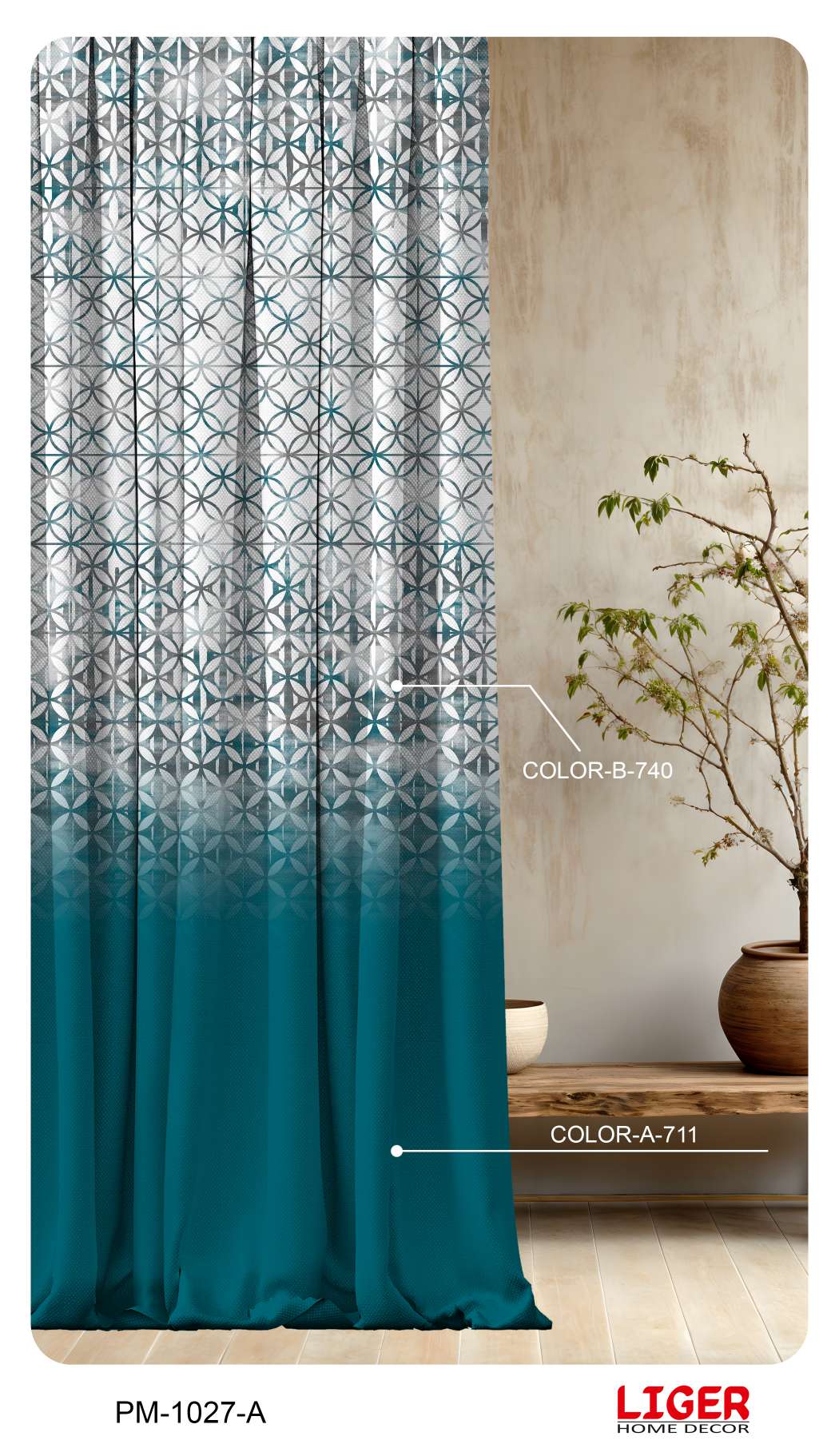 Collection 3 - Image