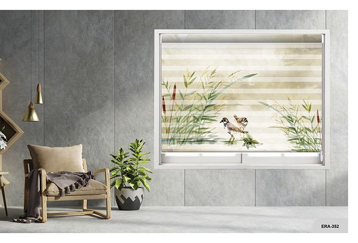 Collection 5 - Image