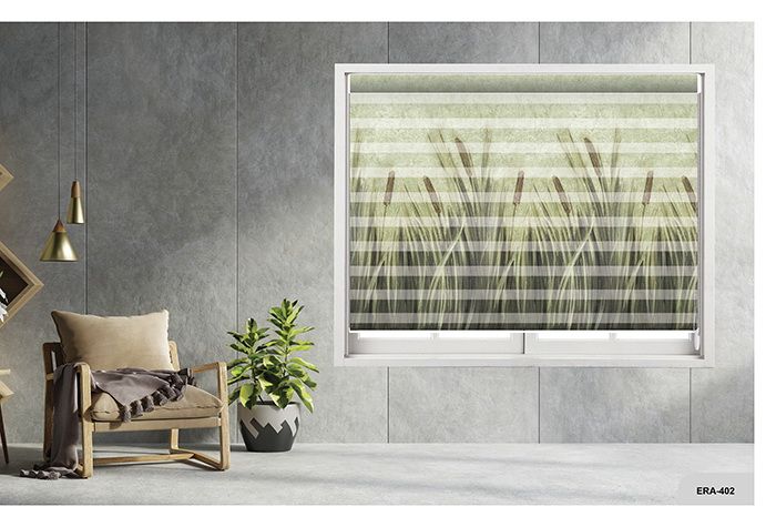 Collection 6 - Image