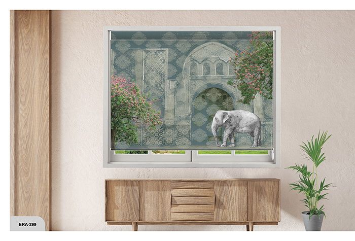 Collection 4 - Image