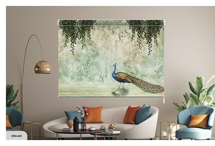 Collection 8 - Image