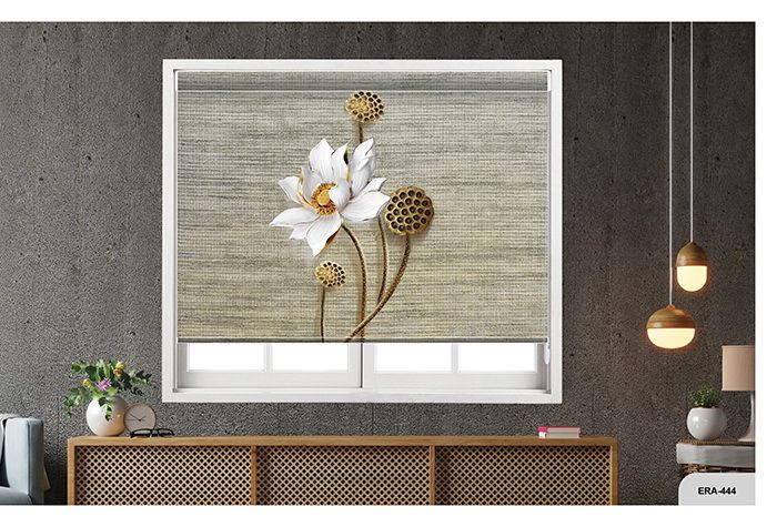 Collection 7 - Image