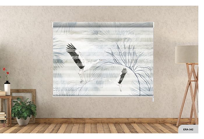 Collection 5 - Image