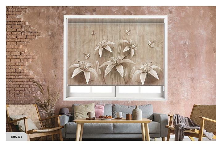 Collection 3 - Image