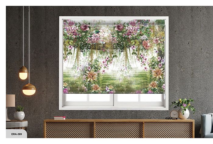 Collection 5 - Image