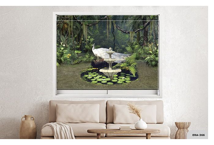 Collection 5 - Image