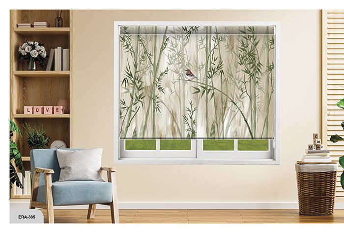 Collection 6 - Image