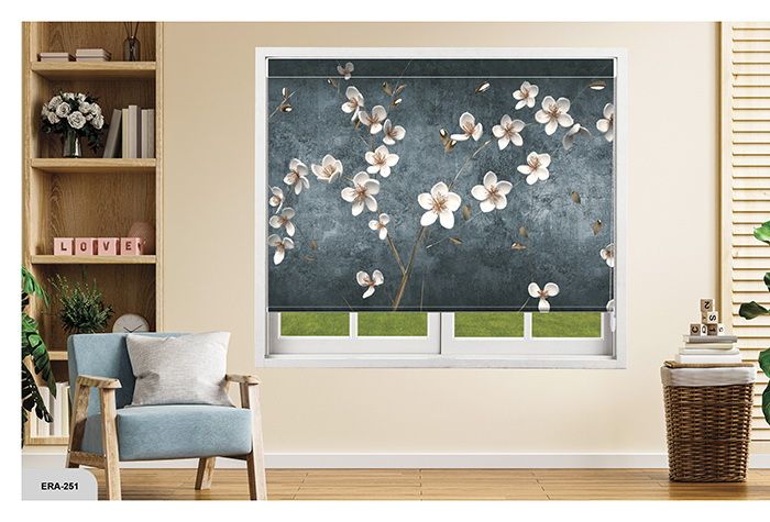 Collection 3 - Image