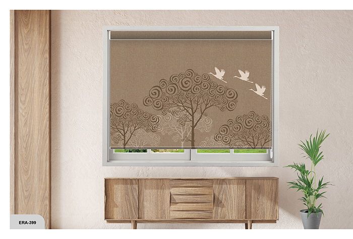 Collection 6 - Image