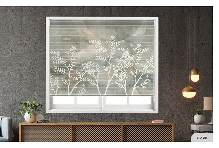 Collection 3 - Image