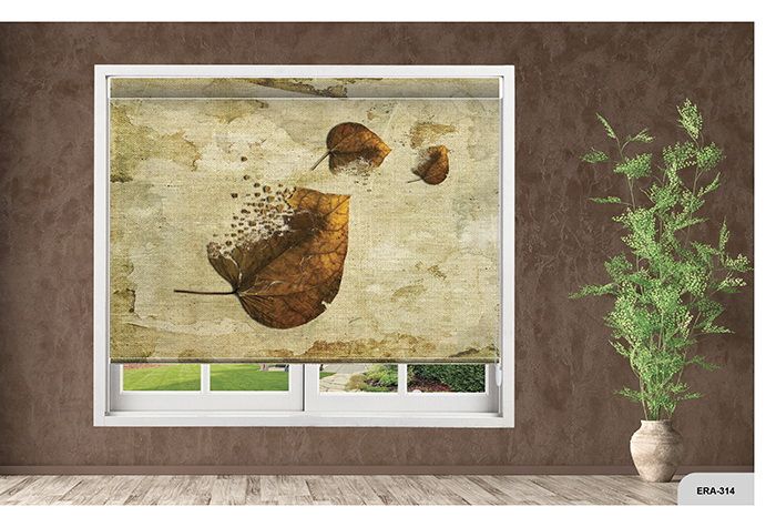 Collection 4 - Image