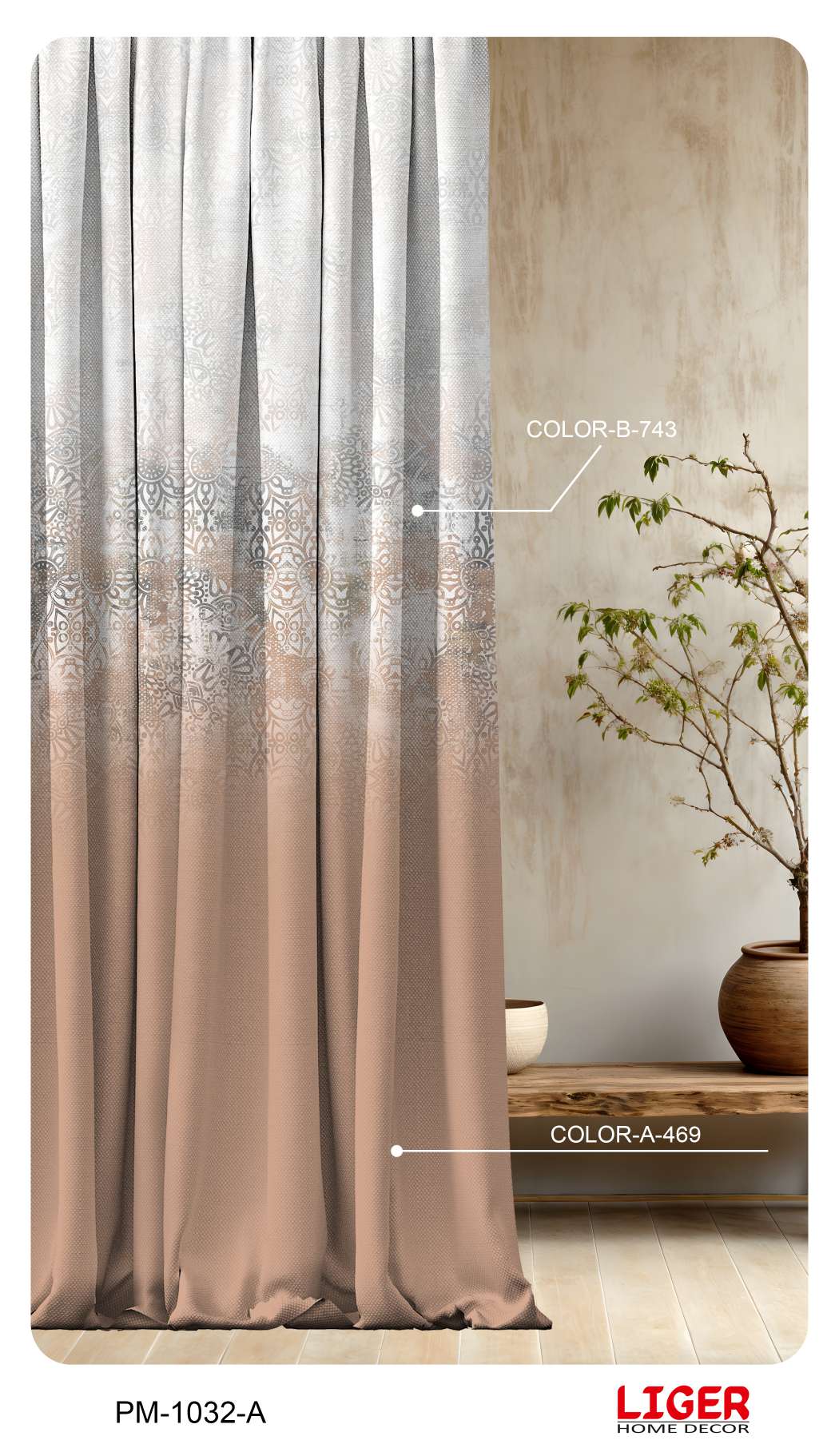 Collection 4 - Image