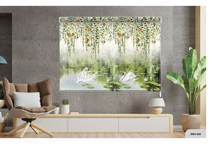 Collection 8 - Image