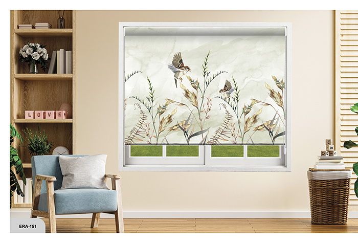 Collection 1 - Image