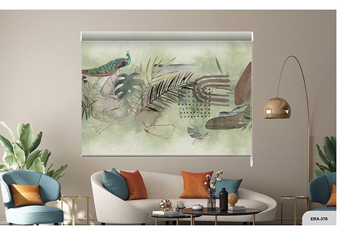 Collection 6 - Image