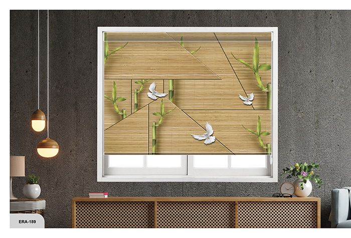 Collection 2 - Image