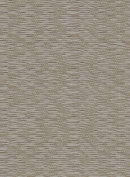Grey - Image