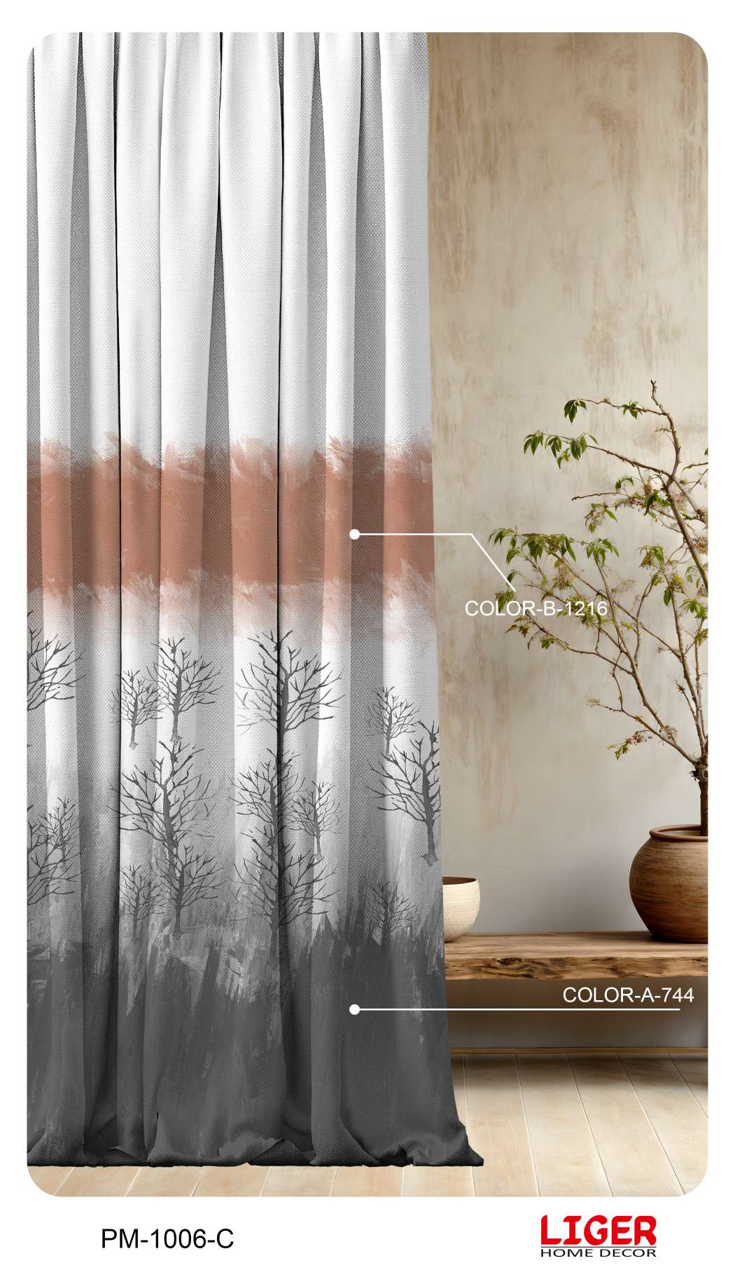 Collection 1 - Image