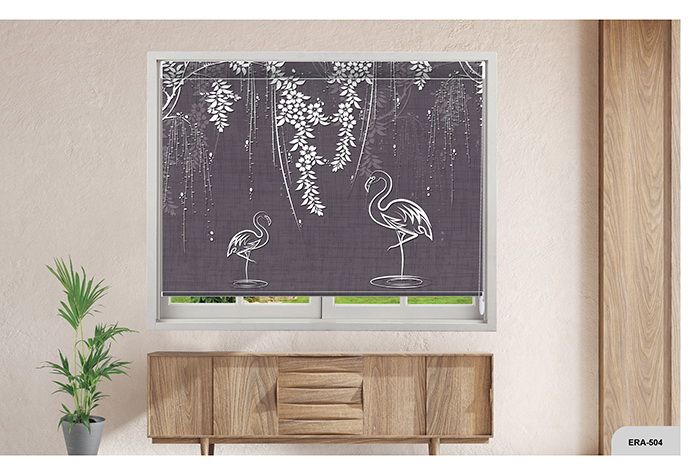 Collection 8 - Image