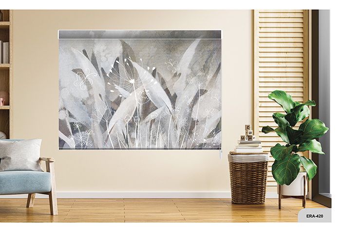 Collection 6 - Image