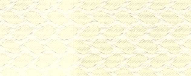 Ivory - Image