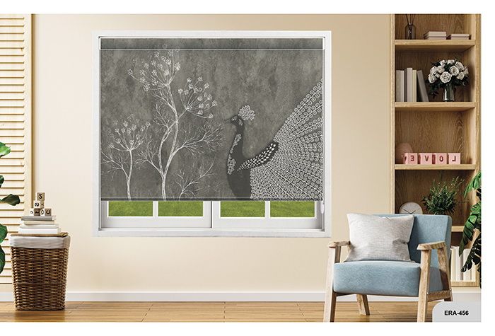 Collection 7 - Image