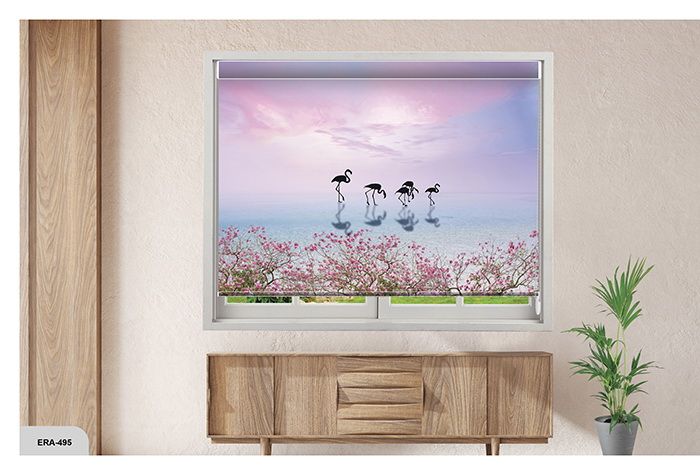 Collection 8 - Image