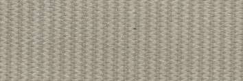 Olive - Image