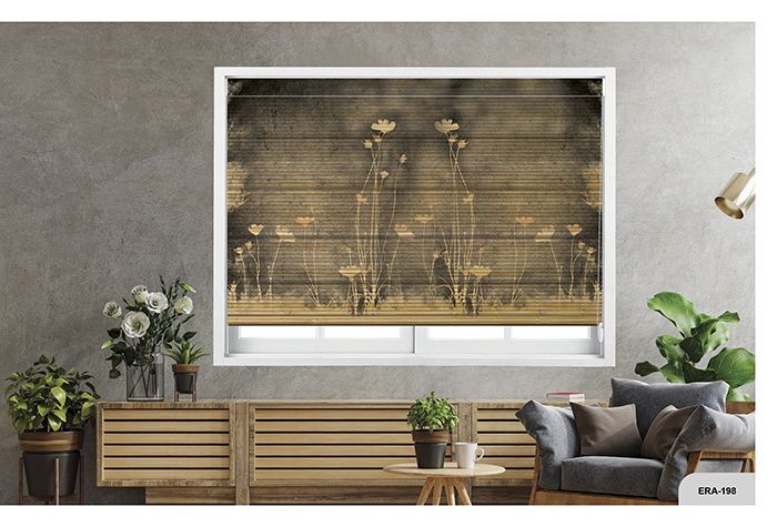 Collection 2 - Image