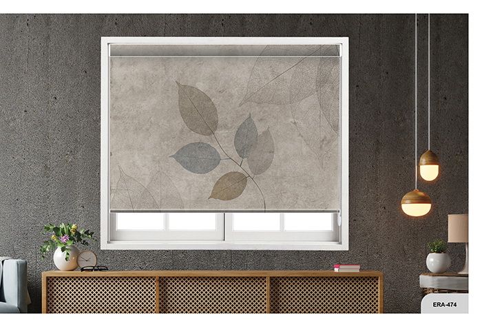 Collection 7 - Image