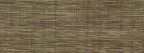 Olive - Image