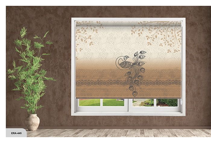 Collection 7 - Image