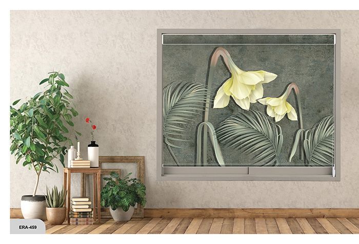 Collection 7 - Image