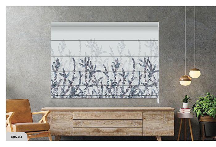 Collection 9 - Image