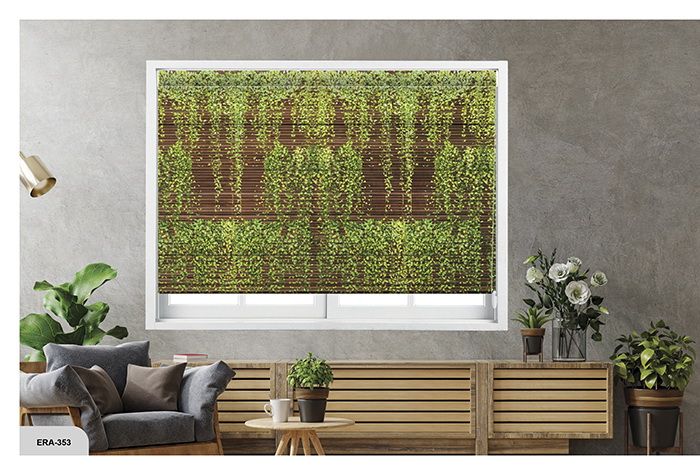 Collection 5 - Image