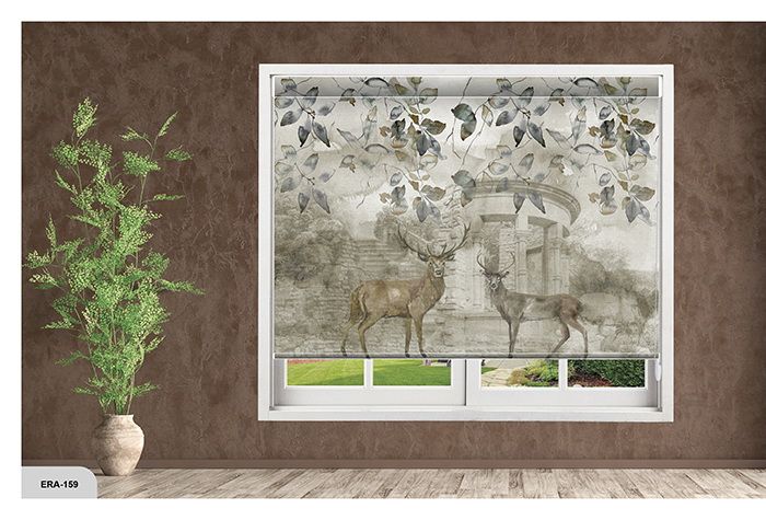 Collection 2 - Image