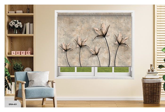 Collection 7 - Image