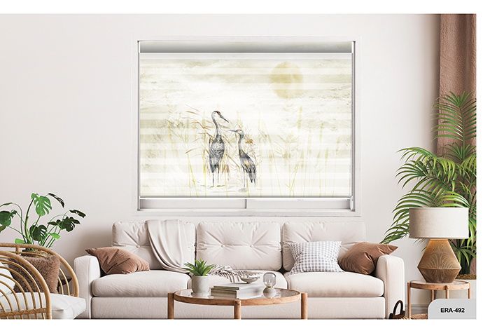 Collection 8 - Image