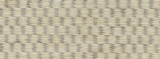 Ivory - Image