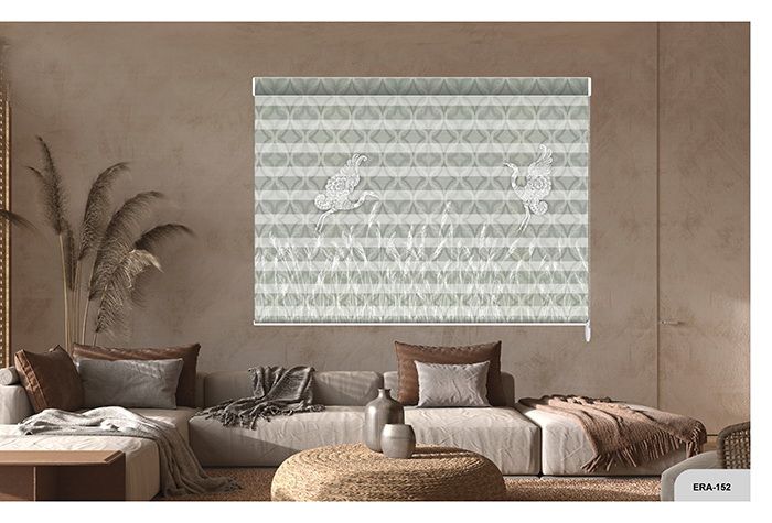 Collection 1 - Image