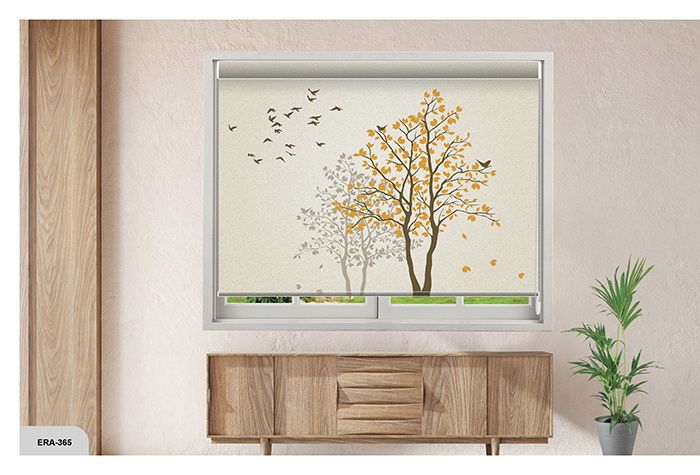 Collection 5 - Image